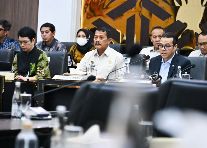 Desa akan Jadi Sumber Primer Satu Data Indonesia 