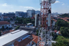 Semester I, XLSMART Realisasikan Capex Rp10,27 Triliun