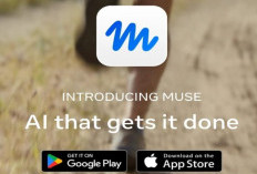 Aplikasi Muse Meta Telah Diunduh 1,8 Juta Kali