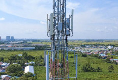 XLSMART Operasikan 300 BTS 5G di Balikpapan dan Banjarmasin