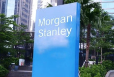 Morgan Stanley Galau Jual-Beli Saham GOTO?