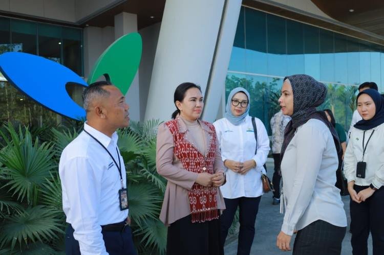PLN Icon Plus dan RS Mayapada IKN Kerja Sama Transformasi Digital