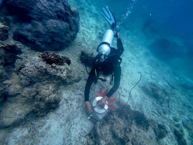 Telkom Gelar Konservasi Lingkungan di 4 Lokasi di Indonesia