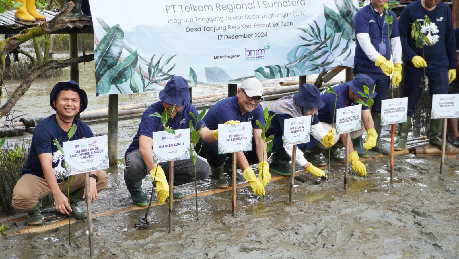 Telkom Tanam 5.000 Mangrove di Deli Serdang