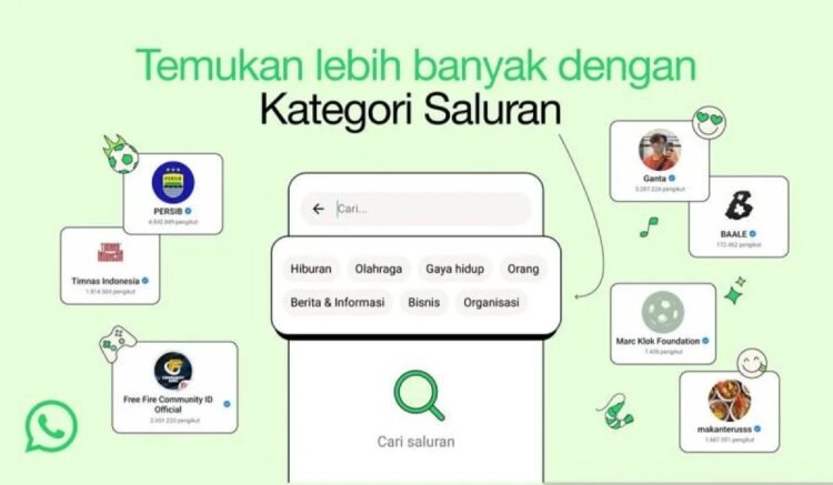 WhatsApp Hadirkan Fitur Kategori Saluran